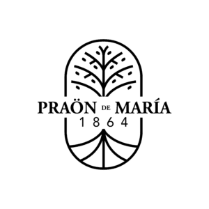 ALIADOS_Mesa de trabajo 1