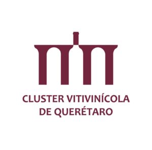 WhatsApp Image 2026-04-10 at 3.12.49 PM