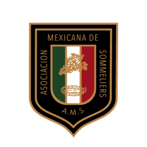 Logo AMS Vectorial